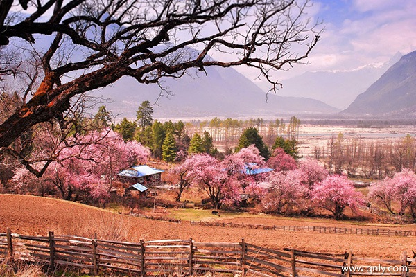 林芝三月旅游怎么样