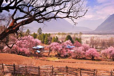 林芝三月份旅游怎么样？