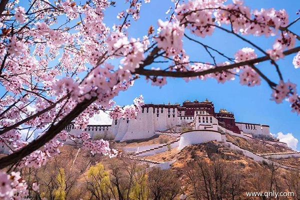 西藏各景区最佳旅游时间