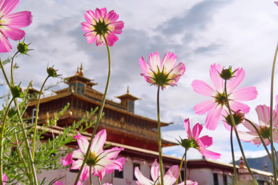 西藏山南有哪些旅游景点？