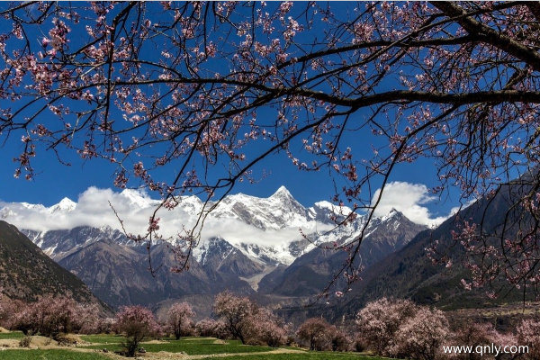 南迦巴瓦峰