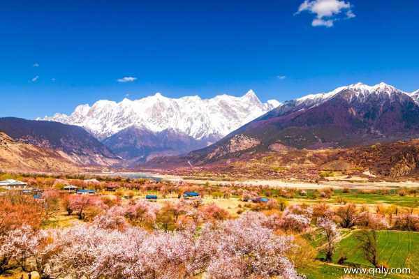 去西藏旅游几月份最好