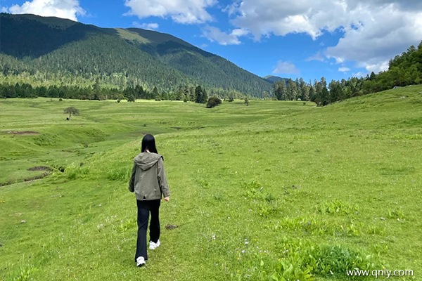 西藏旅游必去景点有哪些