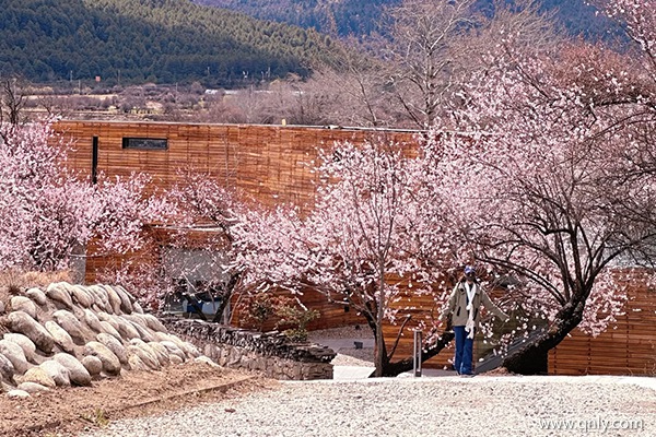 4月去西藏旅游合适吗