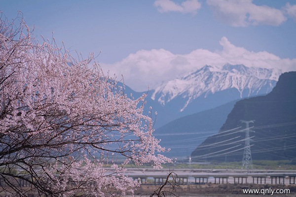 3月份西藏旅游会不会冷