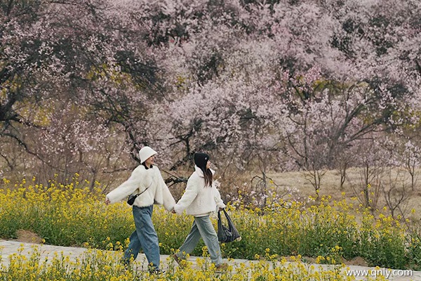 3月去西藏旅游都需要准备什么