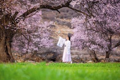 4月份去西藏建议玩几天？