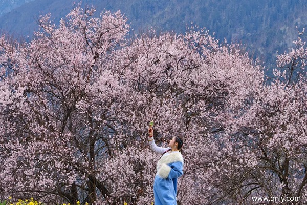 两人去西藏花费