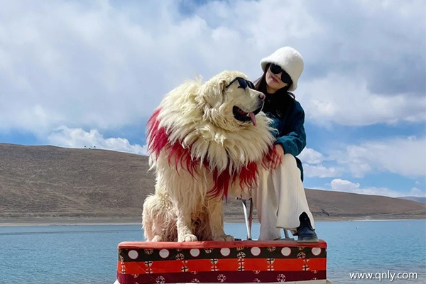 漳州去西藏旅游一周要多少钱