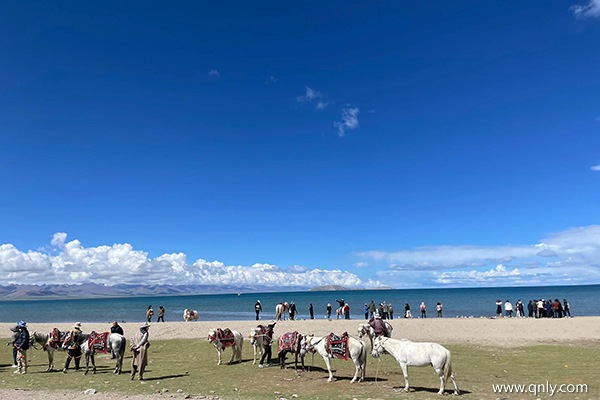 绵阳到西藏旅游7天多少钱