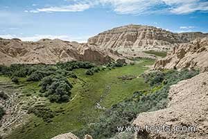 西藏旅游7月线路预订名额所剩无几