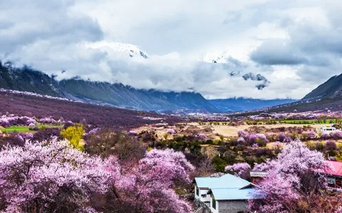 林芝旅游攻略